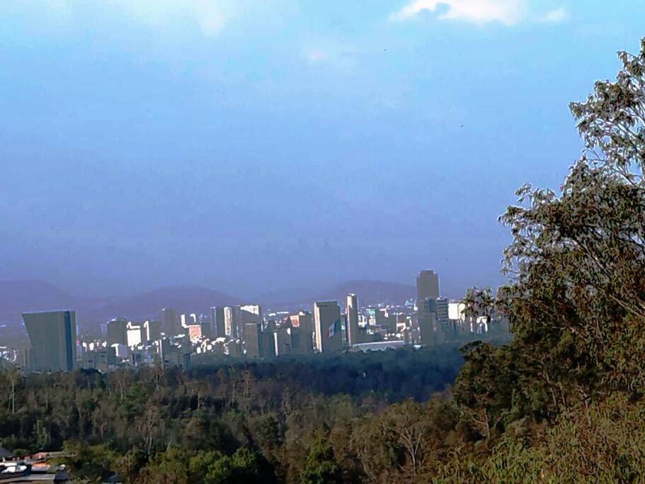 Photo of Others in Miguel Hidalgo