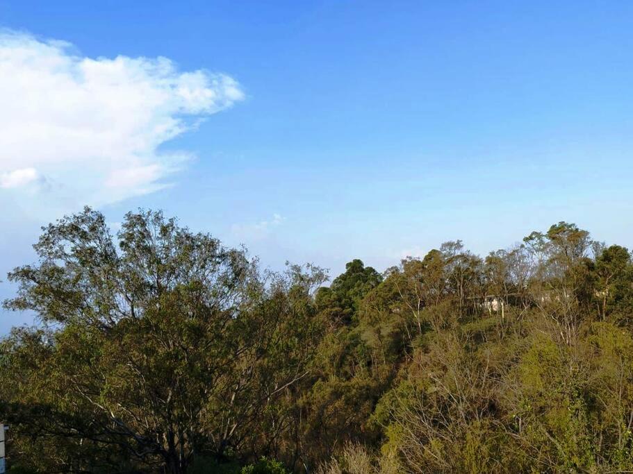 Photo of Outdoor in Miguel Hidalgo