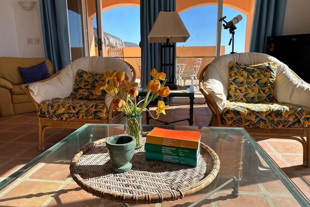 Photo of Livingroom in Santa Rosa