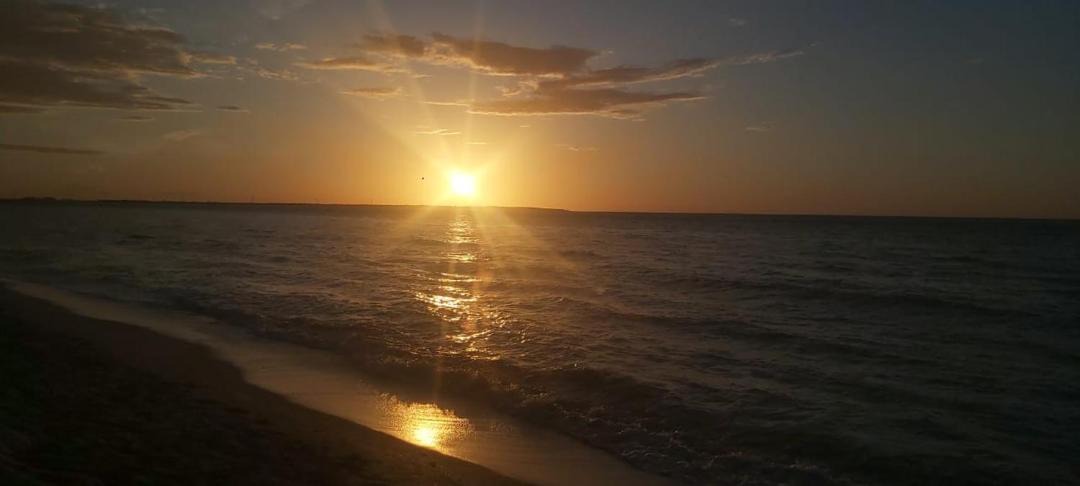 Photo of Others in Isla Aguada