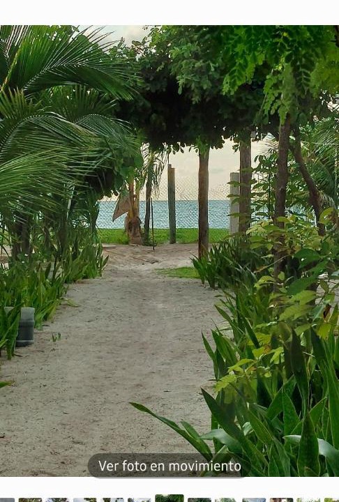 Photo of Others in Isla Aguada