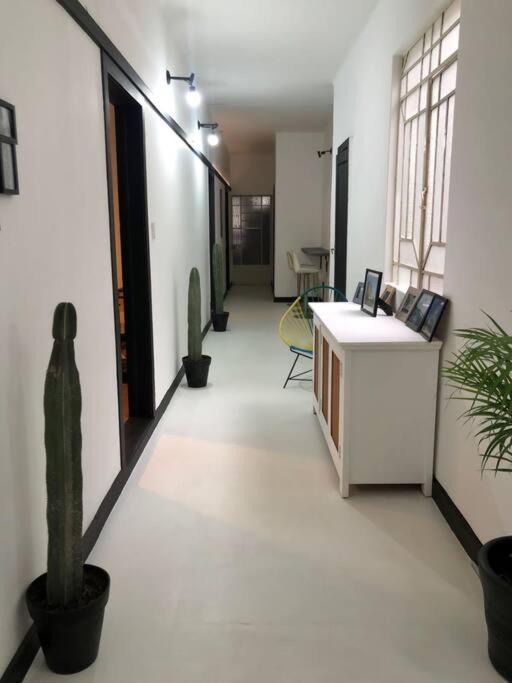 Photo of Others in Hipodromo