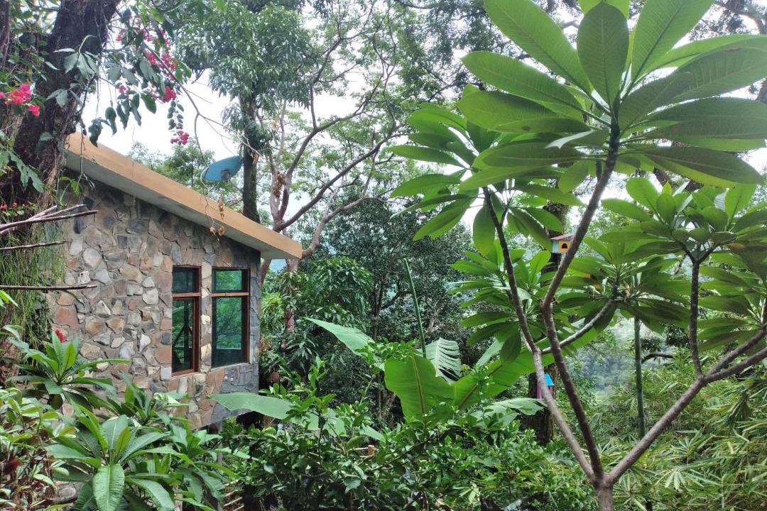 Photo of Others in Xilitla