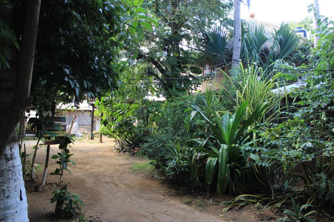 Photo of Others in Mazunte
