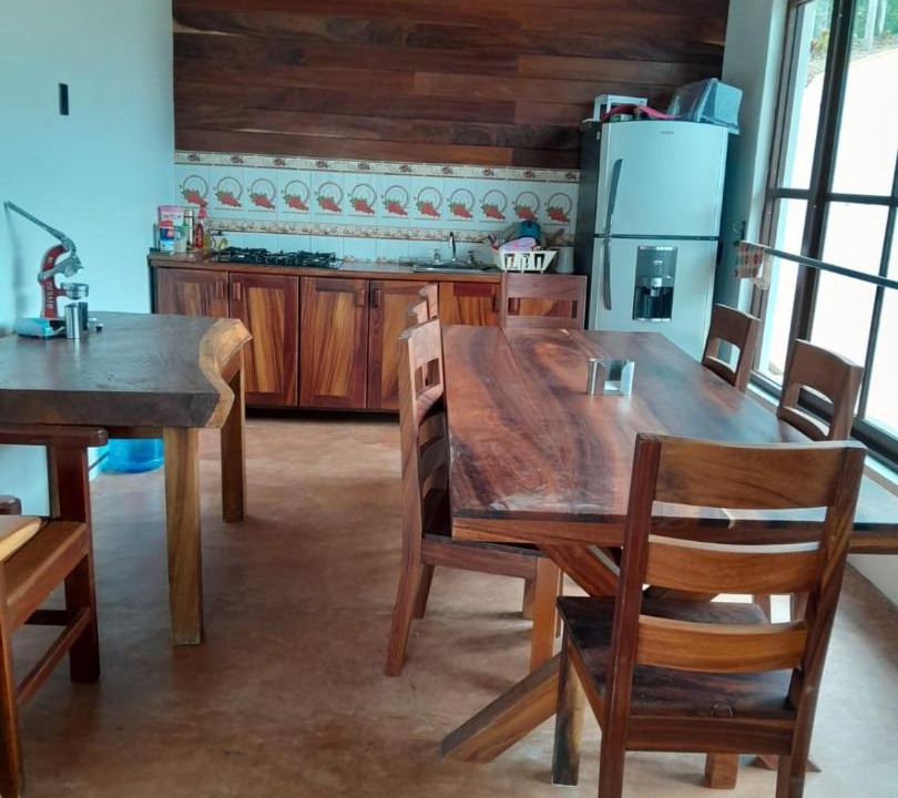 Photo of Others in Pluma Hidalgo
