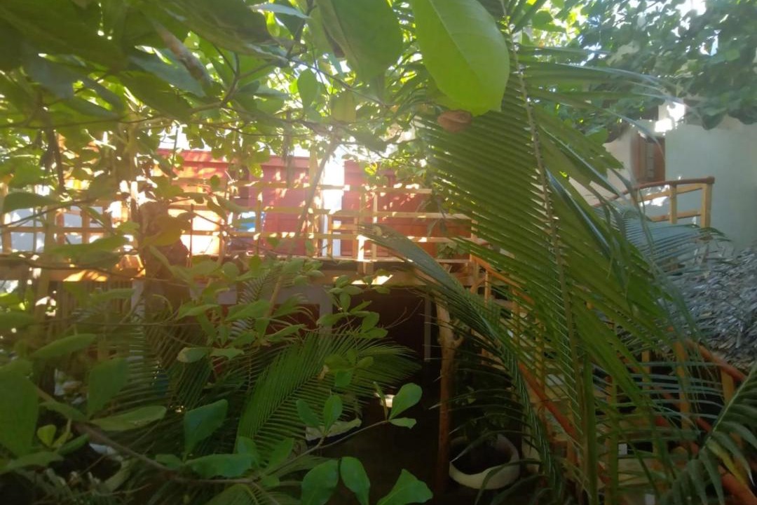 Photo of Others in San Agustinillo