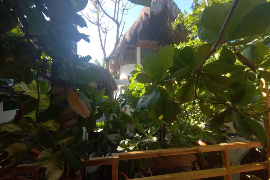 Photo of Others in San Agustinillo