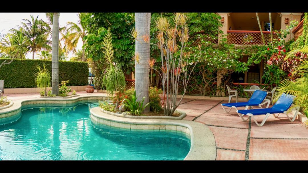 Photo of Outdoor in Los Barriles