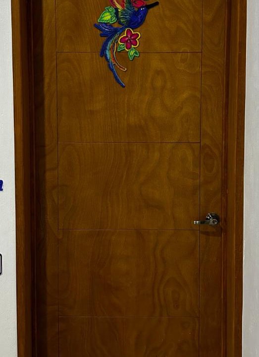 Photo of Others in Chapala Centro