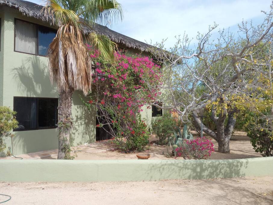 Photo of Others in Cabo Pulmo