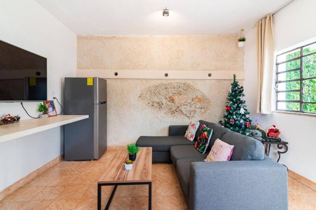 Photo of Others in Merida Municipality