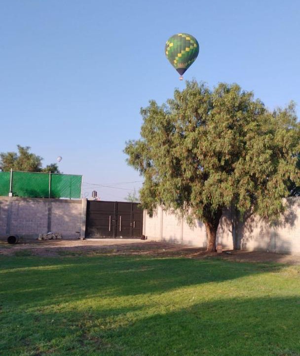 Photo of Others in San Martin de las Piramides