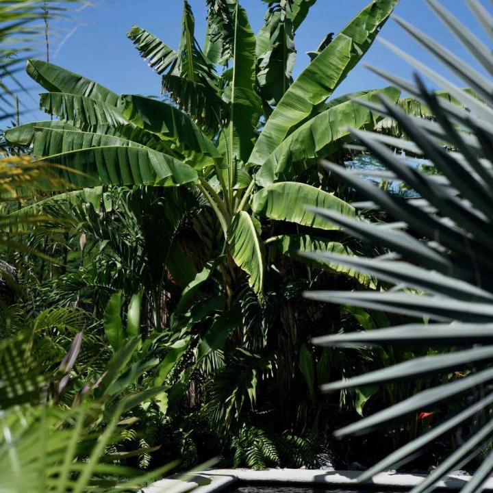 Photo of Others in Troncones