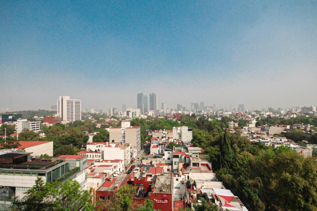 Photo of Others in Hipodromo Condesa
