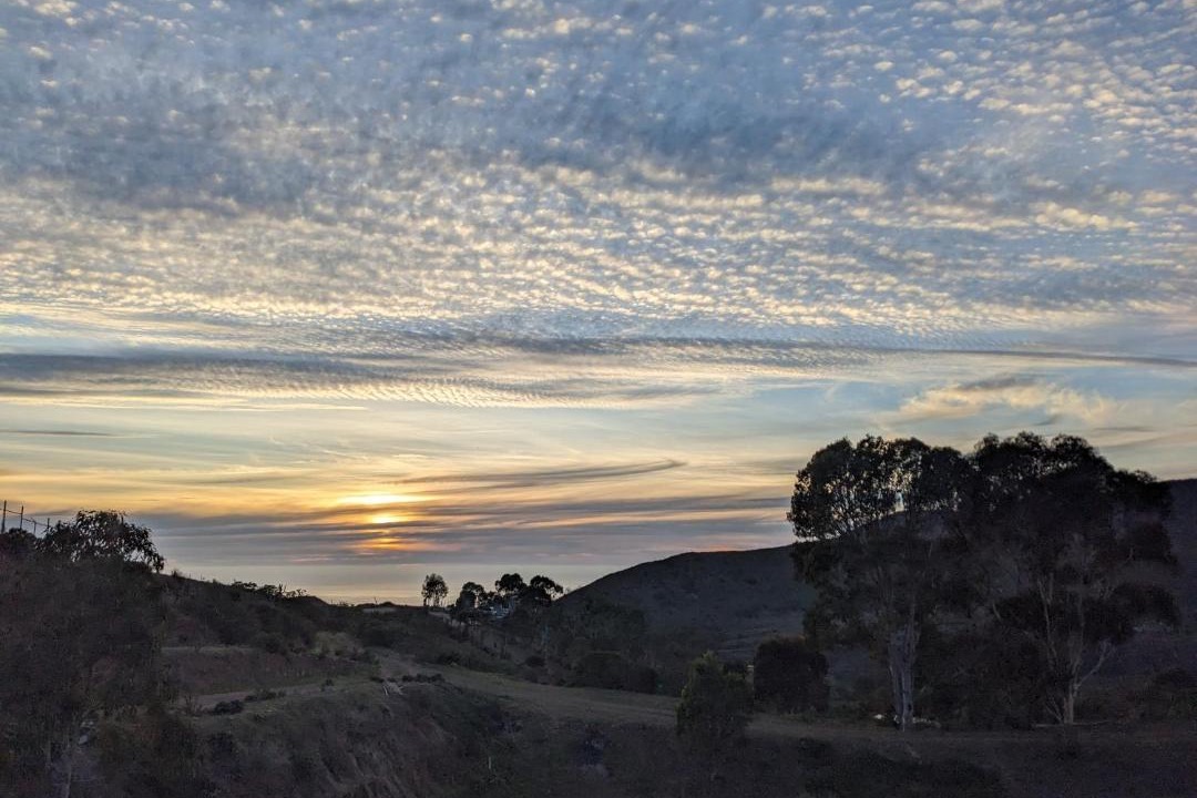 Photo of Others in Ensenada