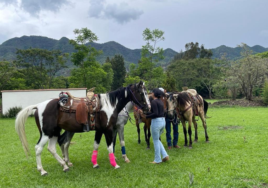 Photo of Others in Malinalco