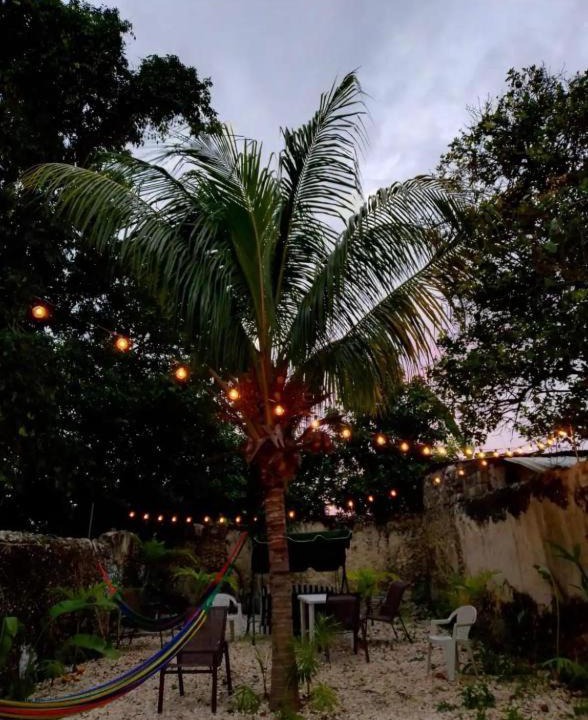 Photo of Others in Zona Centro