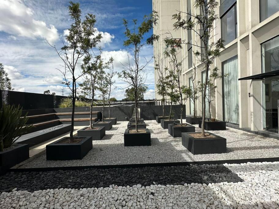 Photo of Others in Angelopolis