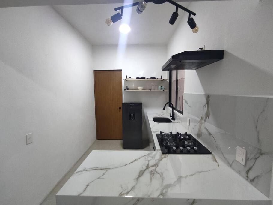 Photo of Others in Puerto Vallarta