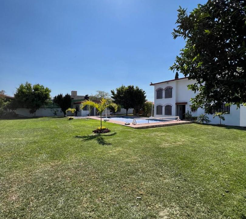 Photo of Others in Ayala