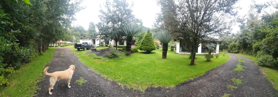 Photo of Others in Valle de Bravo