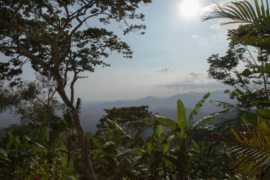 Photo of Others in Pluma Hidalgo