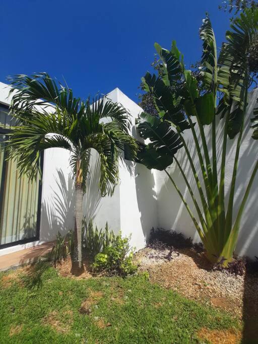 Photo of Others in Merida