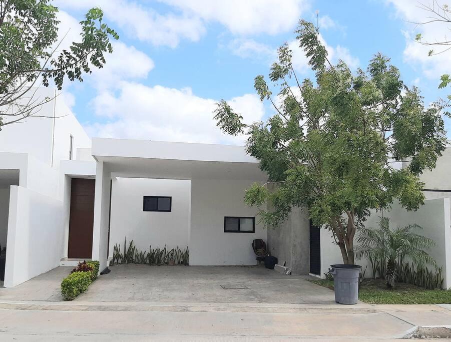 Photo of Others in Merida