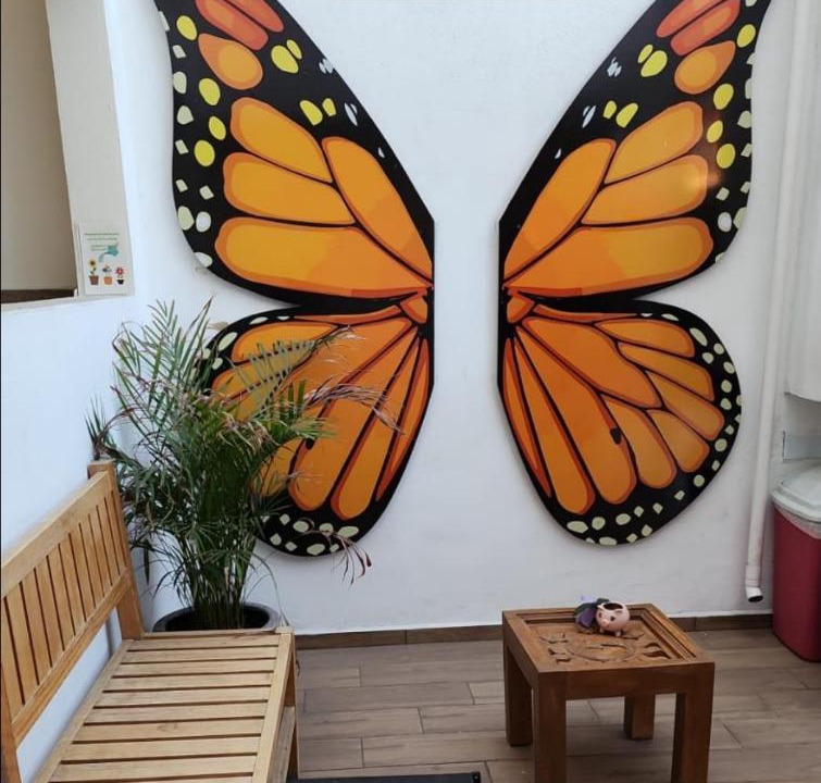 Photo of Others in Morelia