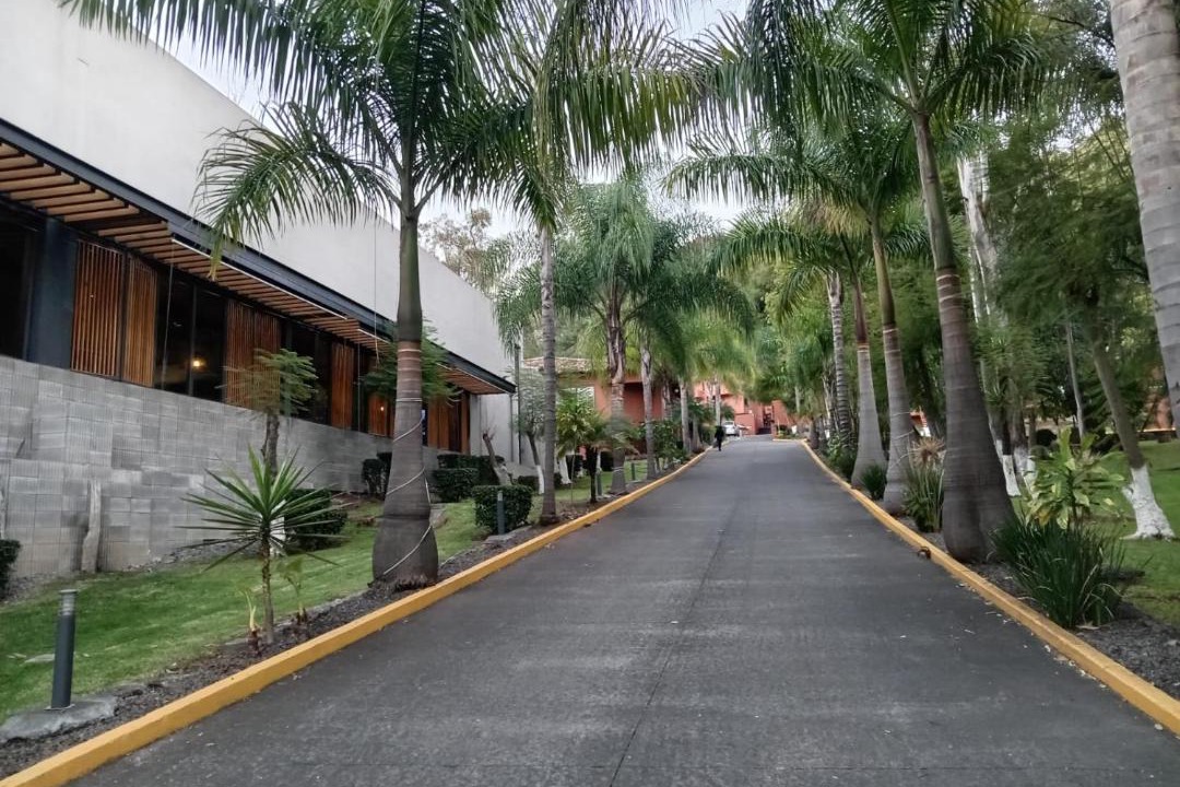 Photo of Others in Morelia