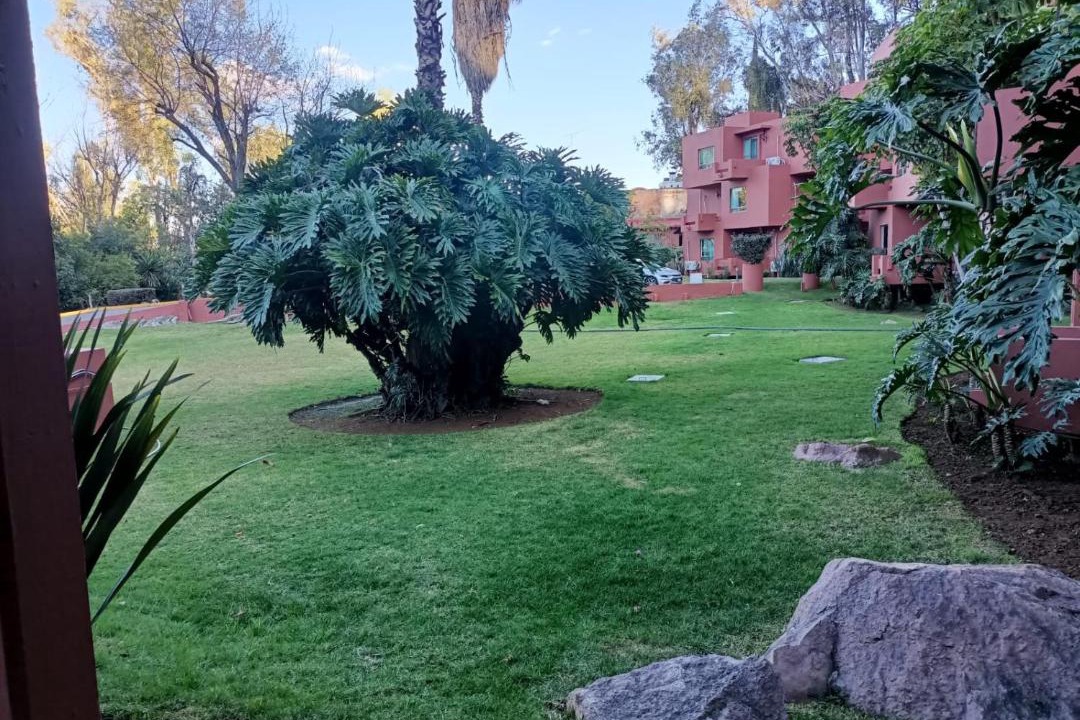 Photo of Others in Morelia