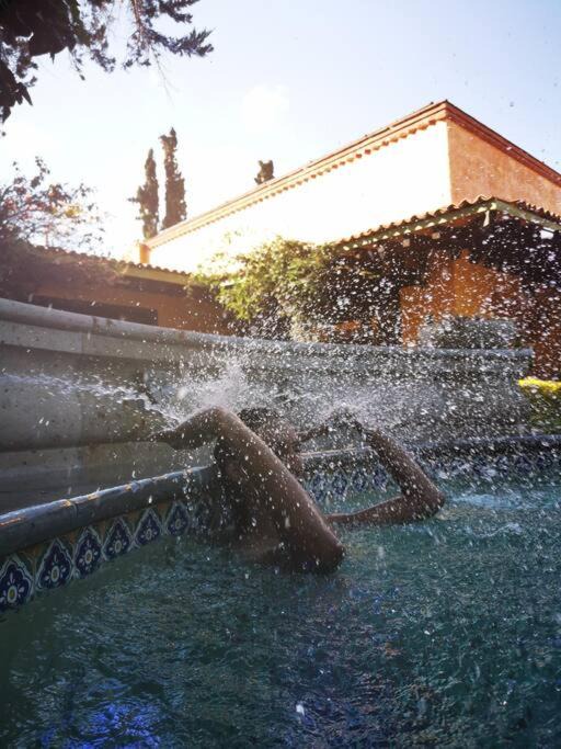 Photo of Others in La Magdalena