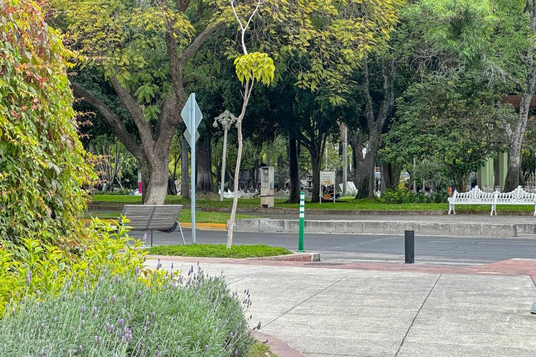 Photo of Others in Chapalita