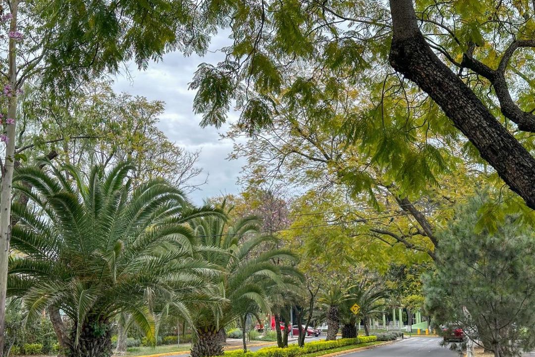 Photo of Others in Chapalita