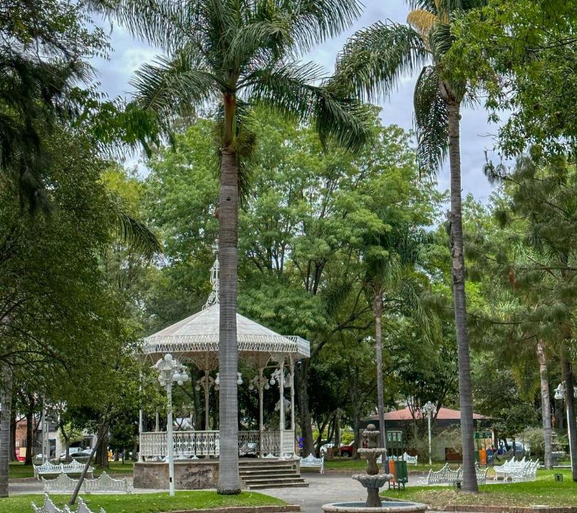 Photo of Others in Chapalita