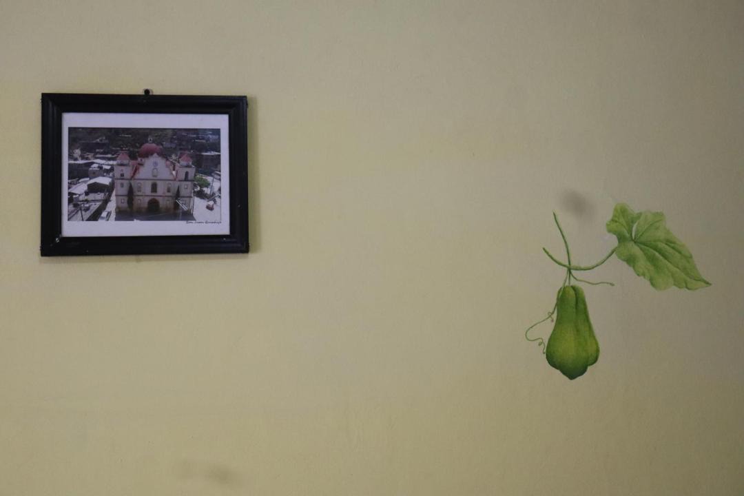 Photo of Others in Santos Reyes Nopala