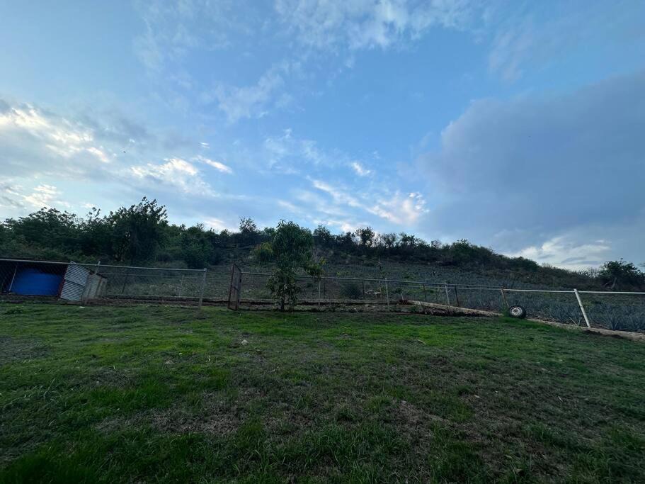 Photo of Others in Etzatlan