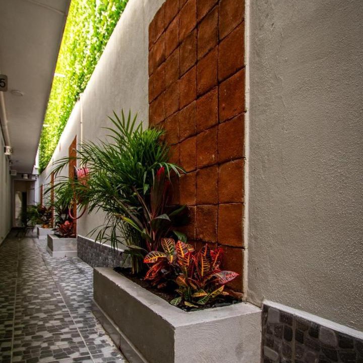 Photo of Others in San Francisco del Rincon