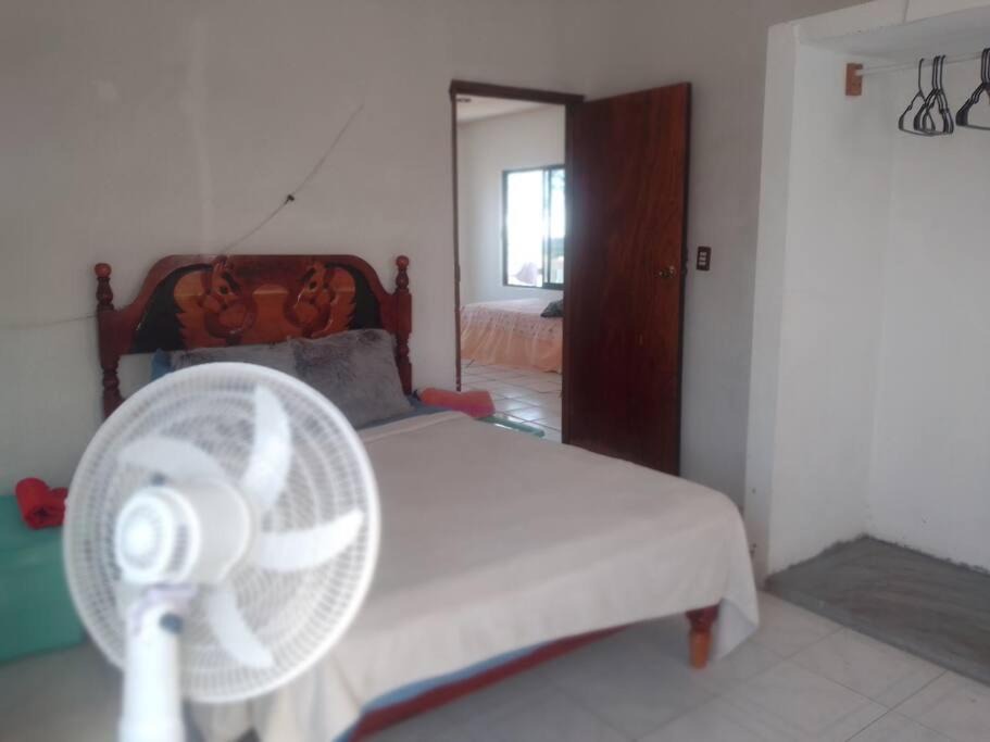 Photo of Others in Tamiahua