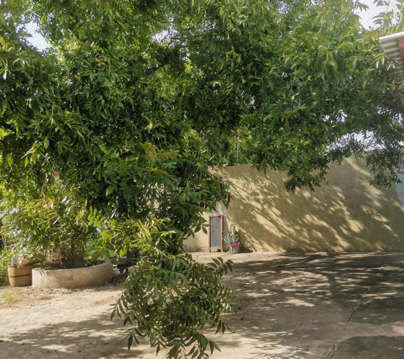 Photo of Others in Chihuahua