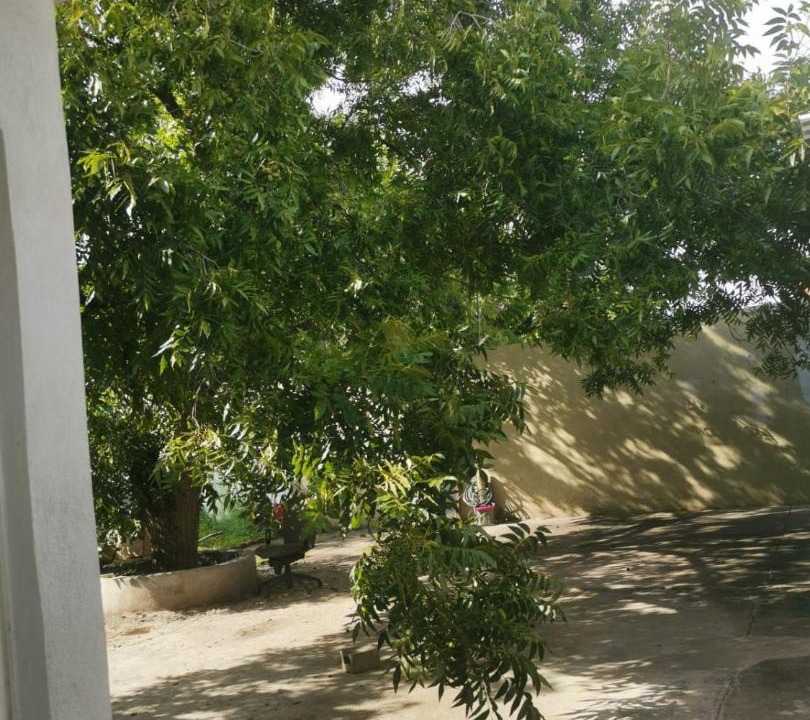 Photo of Others in Chihuahua