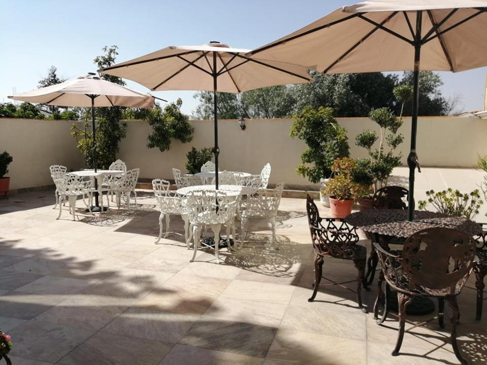 Photo of Patio Balcony in Tlaxcoapan