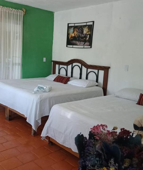 Photo of Bedroom in La Huasteca