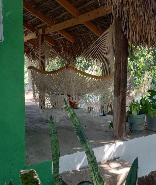 Photo of Others in La Huasteca