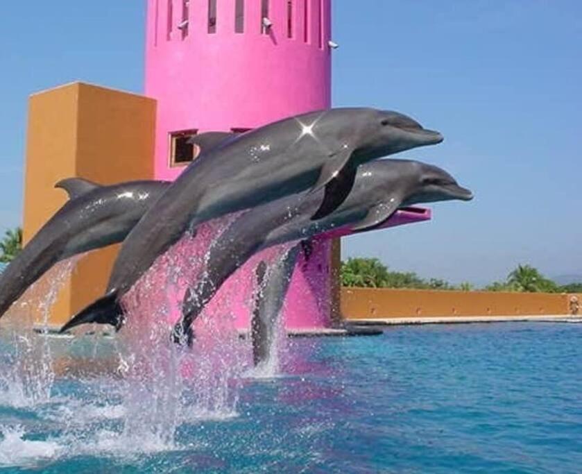 Photo of Others in Ixtapa
