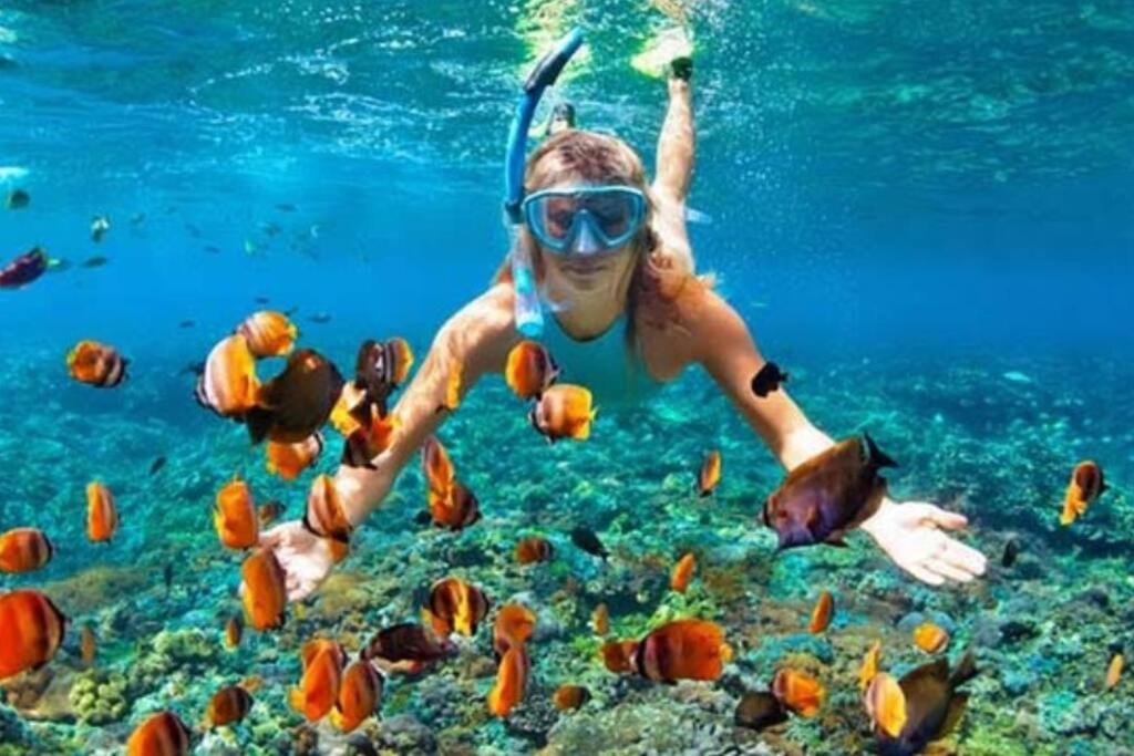 Photo of Others in Ixtapa