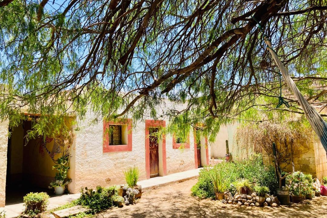 Photo of Others in Real de Catorce