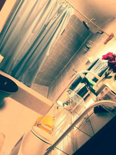 Photo of Others in San Miguel de Allende