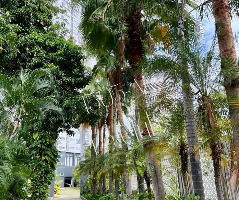 Photo of Others in Costa Azul