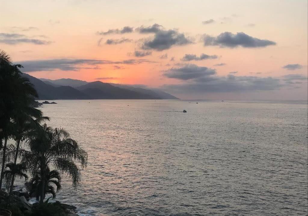 Photo of Others in Puerto Vallarta